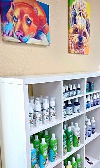 Pet Care Retail