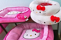 Dog Beds