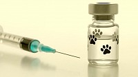 Vaccines